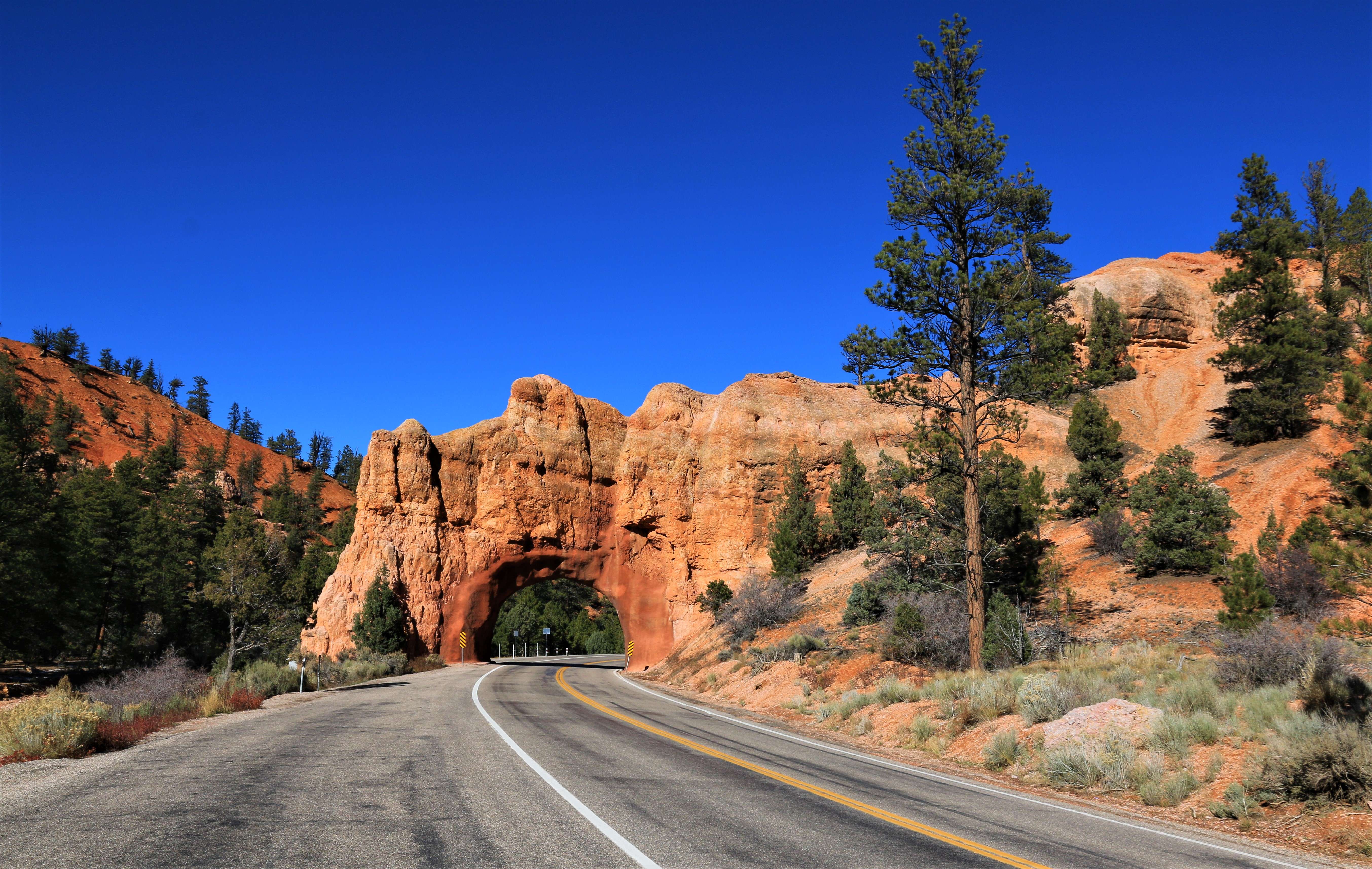 Red Canyon